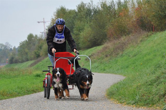 Rennen Weinfelden